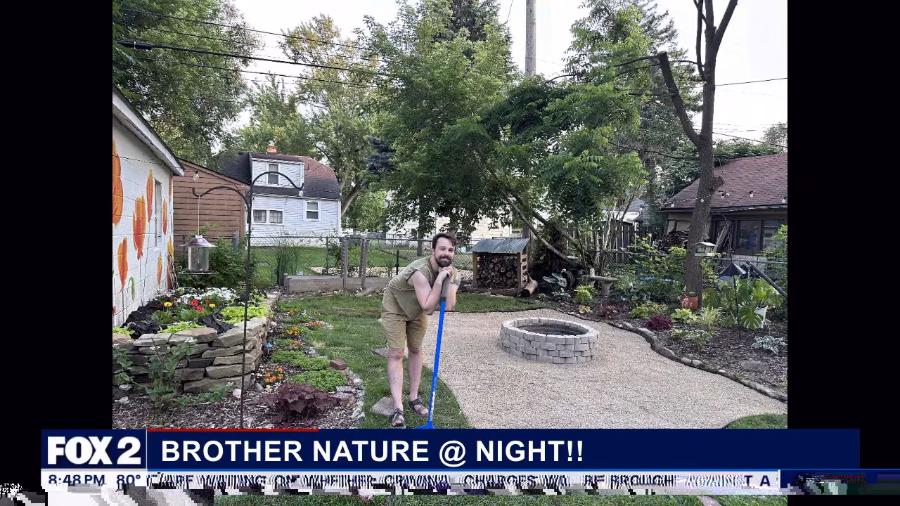 Brother Nature at Night: Jack's backyard & kayaking the Huron River