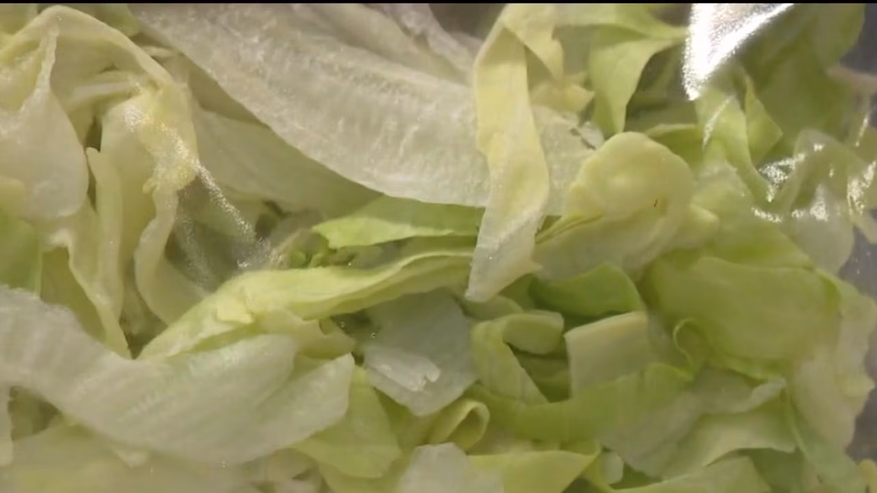 FDA: Taylor Farms Cyclospora finding was 'false positive' from Mexico sample